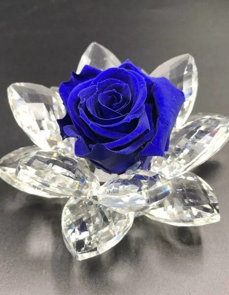 Rosa stabilizzata su ninfea Swarosky Rosa stabilizzata su ninfea Swarosky